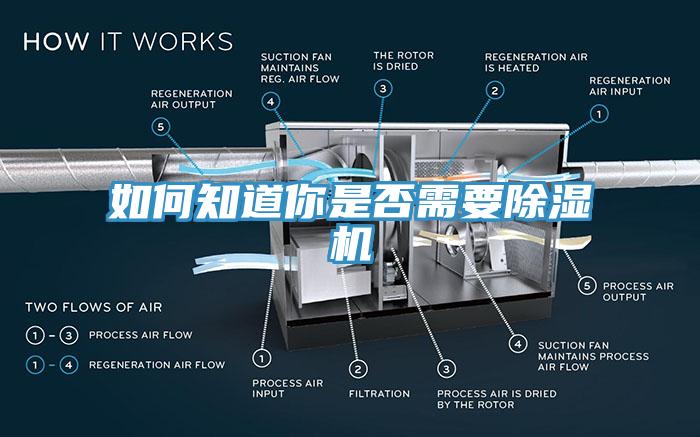 如何知道你是否需要除濕機