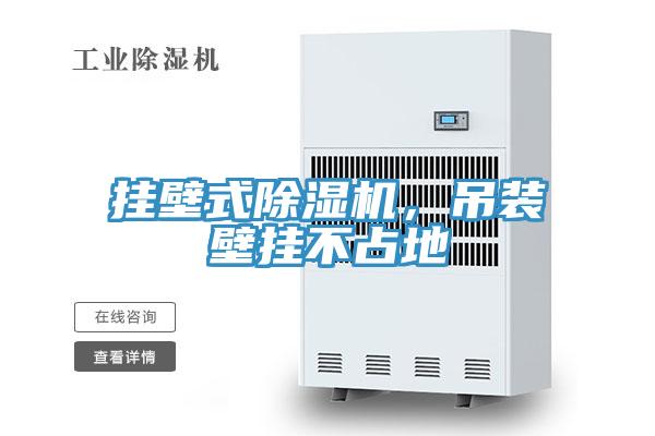 掛壁式除濕機，吊裝壁掛不占地
