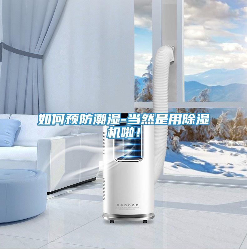 如何預(yù)防潮濕-當(dāng)然是用除濕機(jī)啦！