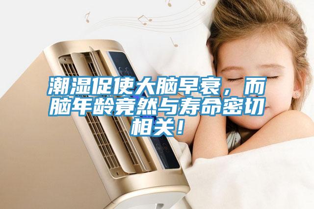 潮濕促使大腦早衰，而腦年齡竟然與壽命密切相關(guān)！