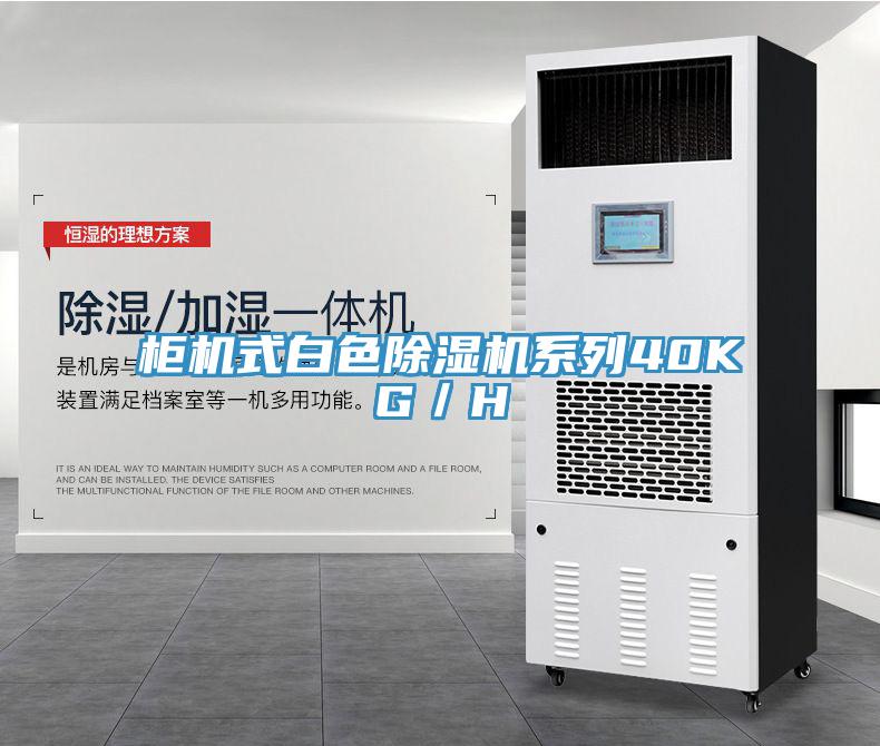 柜機式白色除濕機系列40KG／H