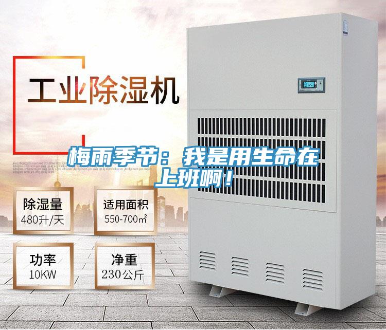梅雨季節(jié)：我是用生命在上班啊！