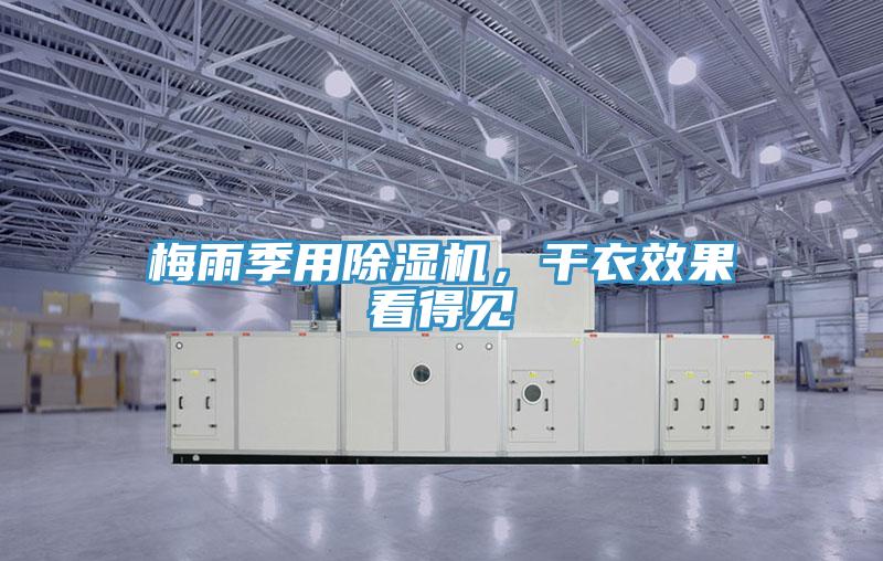 梅雨季用除濕機，干衣效果看得見