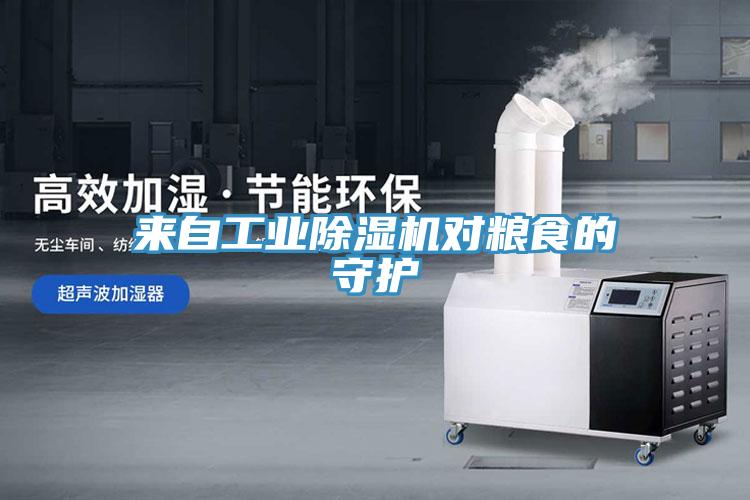 來(lái)自工業(yè)除濕機(jī)對(duì)糧食的守護(hù)