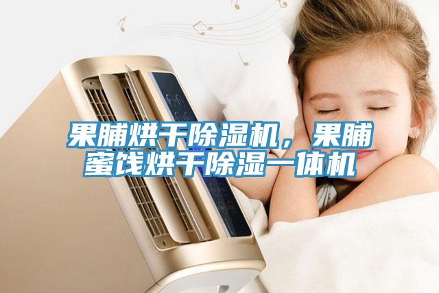 果脯烘干除濕機，果脯蜜餞烘干除濕一體機