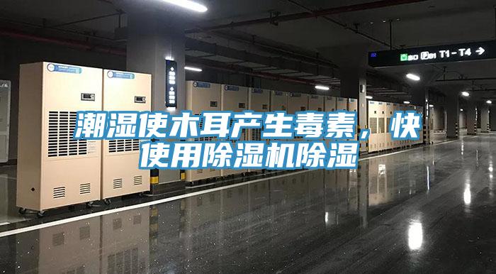 潮濕使木耳產生毒素，快使用除濕機除濕
