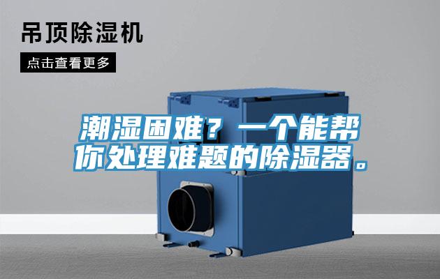 潮濕困難？一個能幫你處理難題的除濕器。