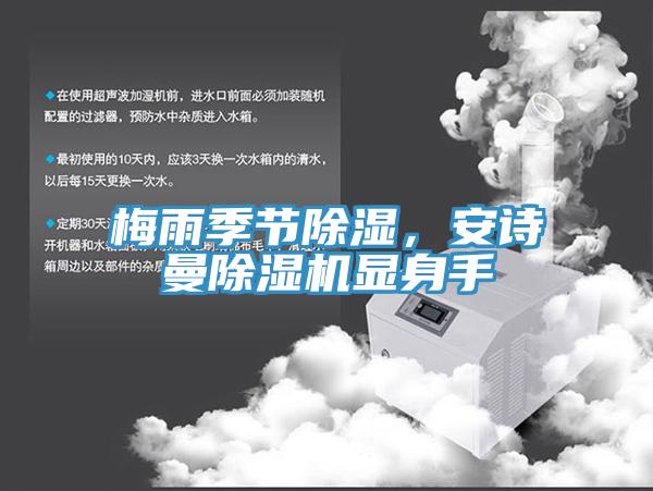 梅雨季節除濕，安詩曼除濕機顯身手