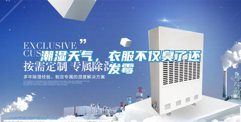 潮濕天氣，衣服不僅臭了還發(fā)霉