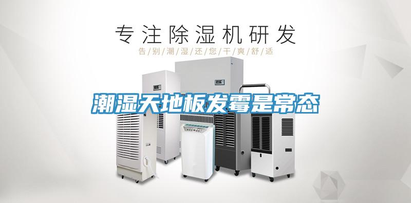 潮濕天地板發霉是常態