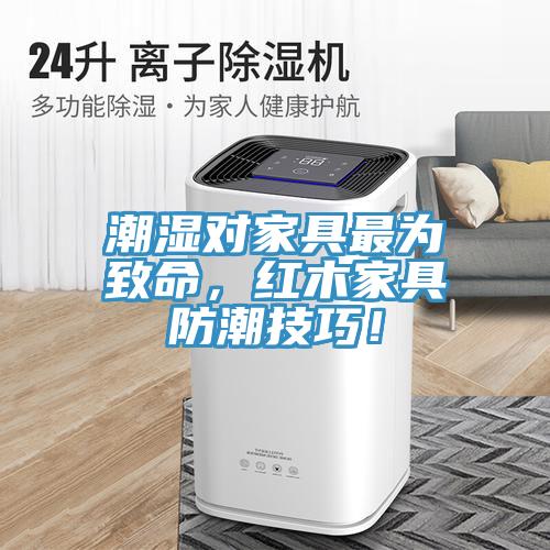潮濕對家具最為致命，紅木家具防潮技巧！