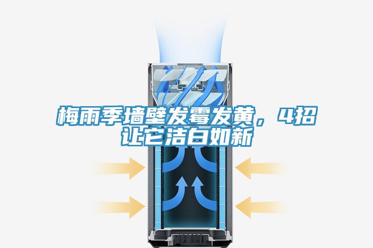 梅雨季墻壁發(fā)霉發(fā)黃，4招讓它潔白如新