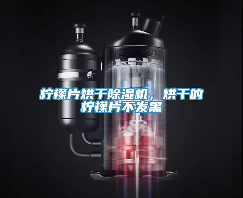 檸檬片烘干除濕機(jī)，烘干的檸檬片不發(fā)黑