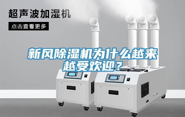 新風(fēng)除濕機(jī)為什么越來越受歡迎？