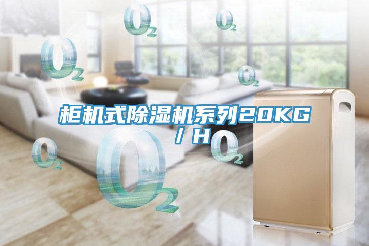 柜機式除濕機系列20KG／H
