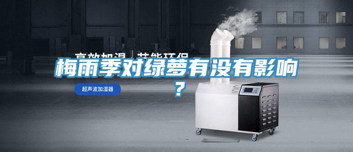 梅雨季對(duì)綠蘿有沒有影響？