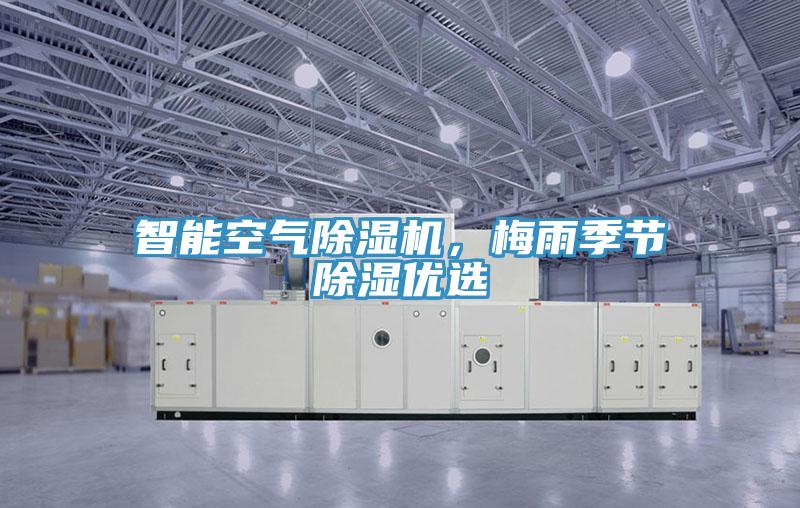 智能空氣除濕機(jī)，梅雨季節(jié)除濕優(yōu)選