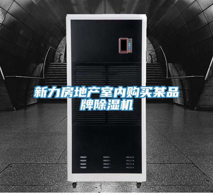 新力房地產(chǎn)室內(nèi)購買某品牌除濕機(jī)