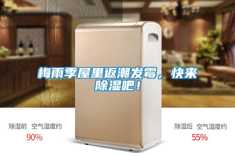 梅雨季屋里返潮發(fā)霉，快來(lái)除濕吧！