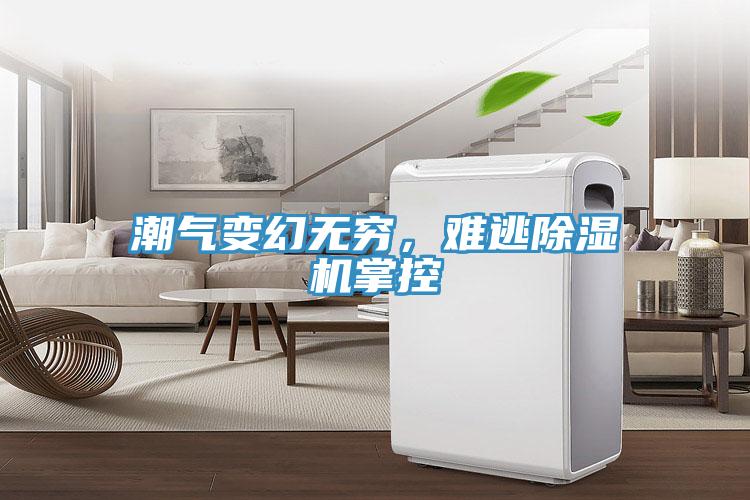 潮氣變幻無窮，難逃除濕機(jī)掌控