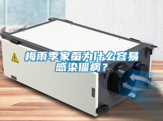 梅雨季家蠶為什么容易感染僵?。?></div>
								<div   id=