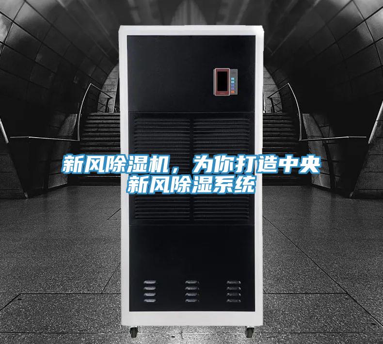 新風(fēng)除濕機(jī)，為你打造中央新風(fēng)除濕系統(tǒng)