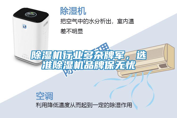 除濕機(jī)行業(yè)多雜牌軍，選準(zhǔn)除濕機(jī)品牌保無憂