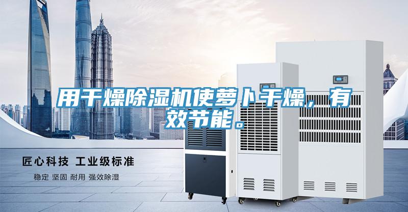 用干燥除濕機(jī)使蘿卜干燥，有效節(jié)能。