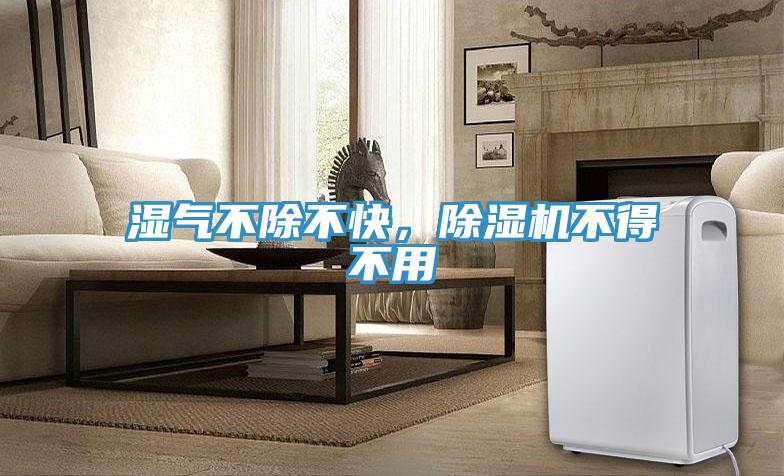 濕氣不除不快，除濕機不得不用