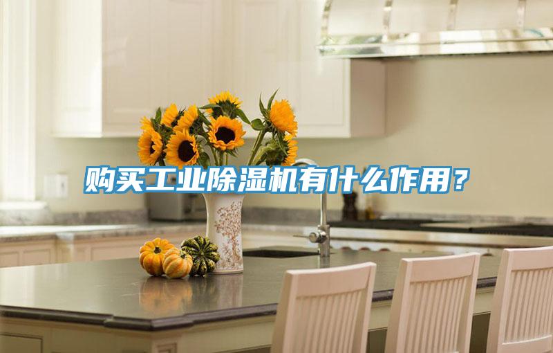 購買工業(yè)除濕機有什么作用？