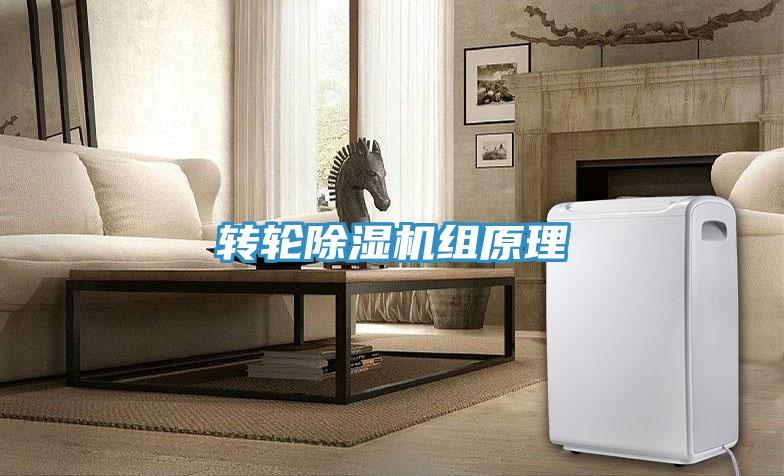 轉輪除濕機組原理