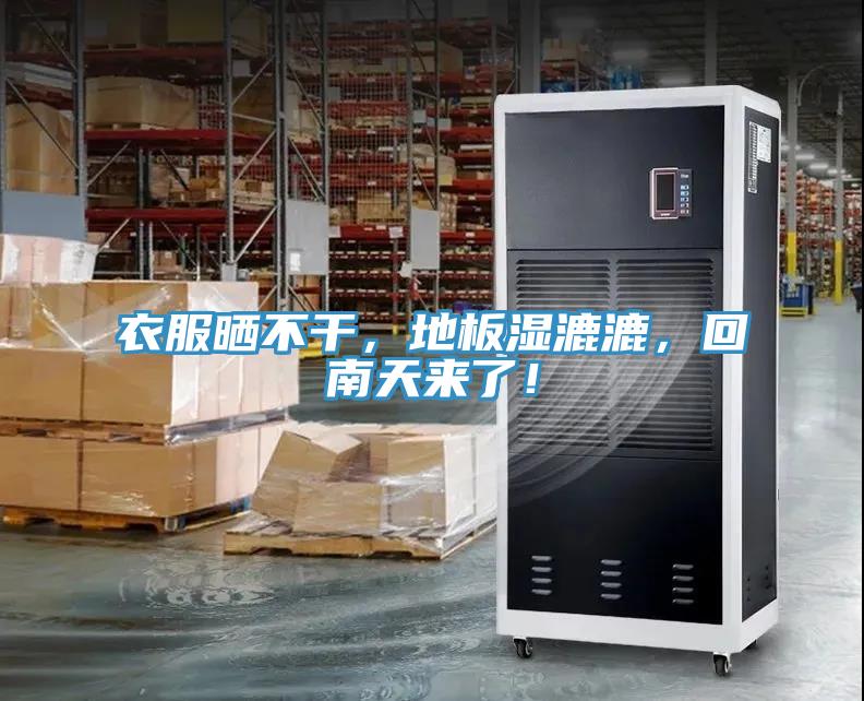 衣服曬不干，地板濕漉漉，回南天來了！