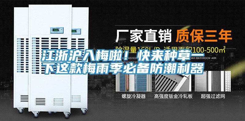 江浙滬入梅啦！快來種草一下這款梅雨季必備防潮利器