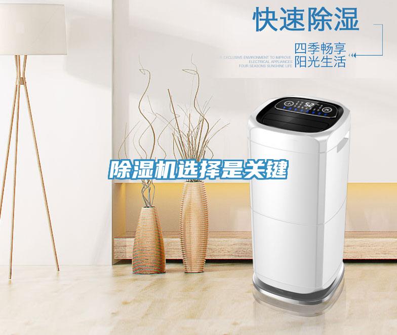 除濕機選擇是關鍵