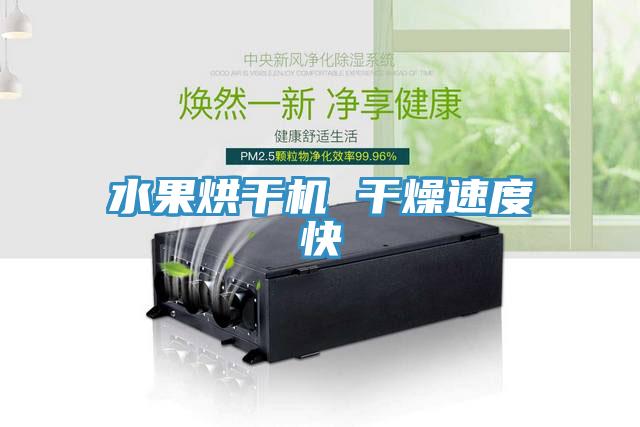 水果烘干機(jī) 干燥速度快