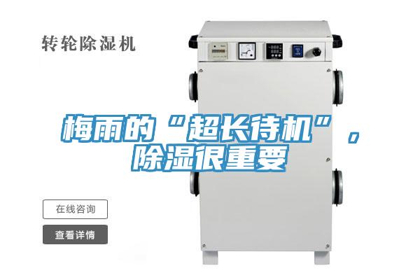 梅雨的“超長待機(jī)”，除濕很重要