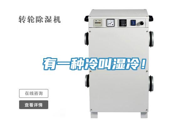 有一種冷叫濕冷！