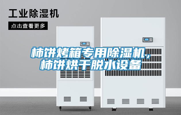 柿餅烤箱專用除濕機(jī)，柿餅烘干脫水設(shè)備