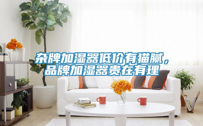 雜牌加濕器低價有貓膩，品牌加濕器貴在有理
