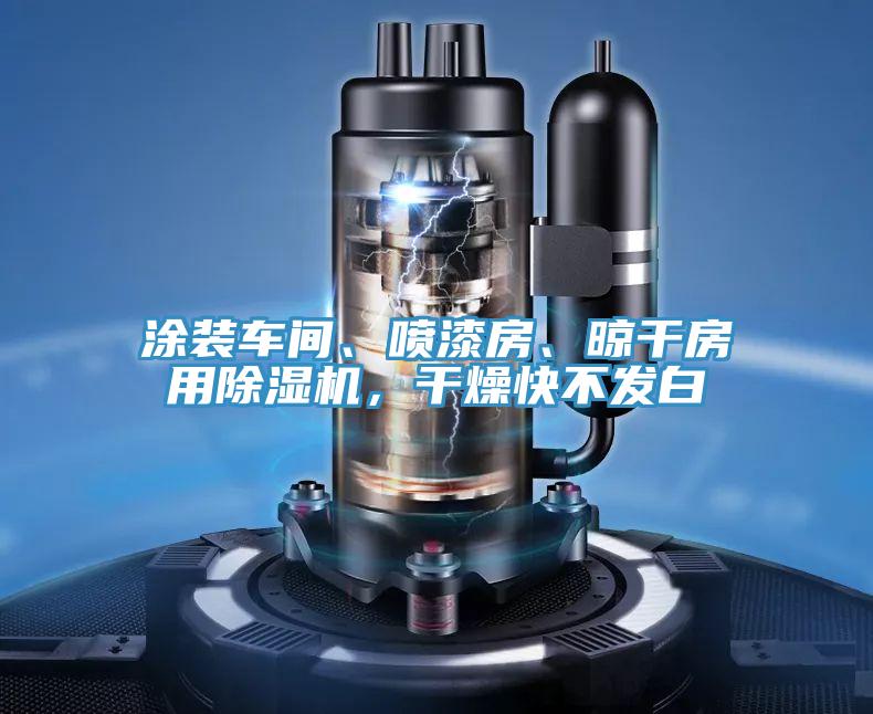涂裝車間、噴漆房、晾干房用除濕機,干燥快不發白
