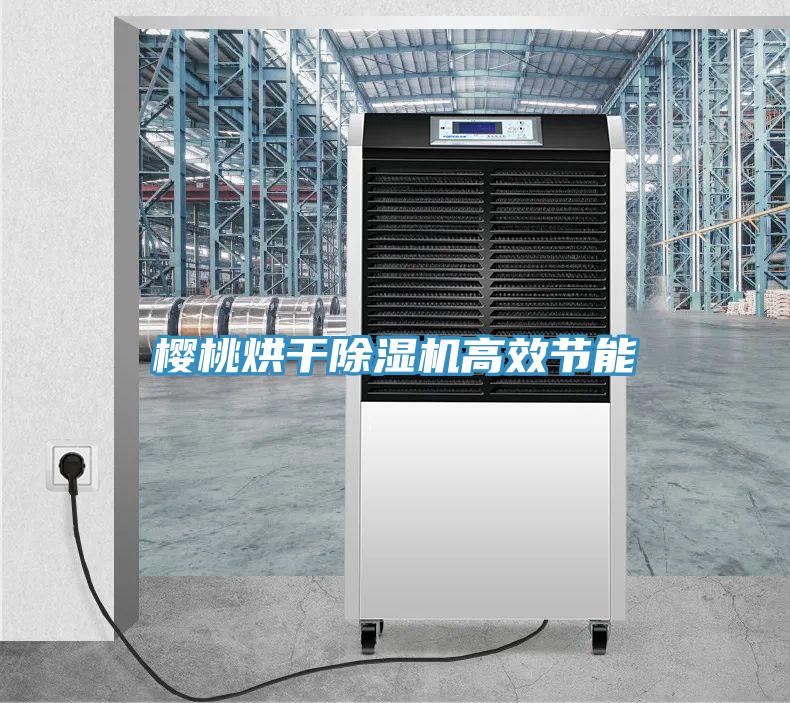 櫻桃烘干除濕機高效節(jié)能