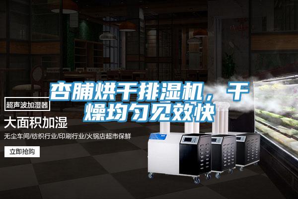 杏脯烘干排濕機(jī)，干燥均勻見效快