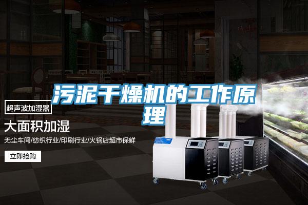 污泥干燥機(jī)的工作原理