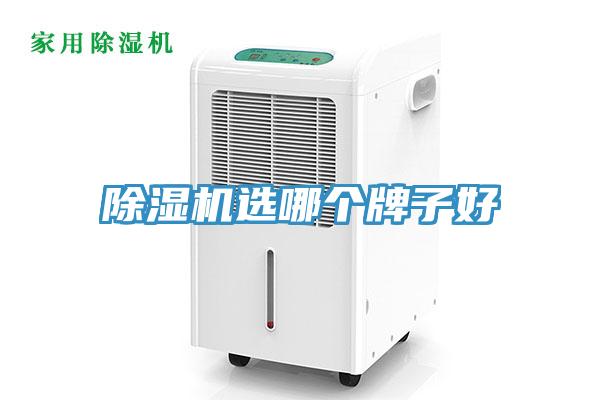 除濕機選哪個牌子好