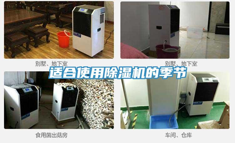 適合使用除濕機的季節
