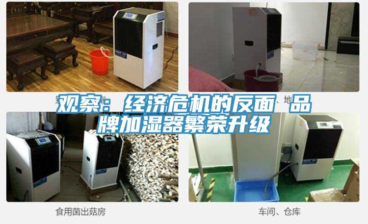 觀察：經(jīng)濟(jì)危機(jī)的反面 品牌加濕器繁榮升級