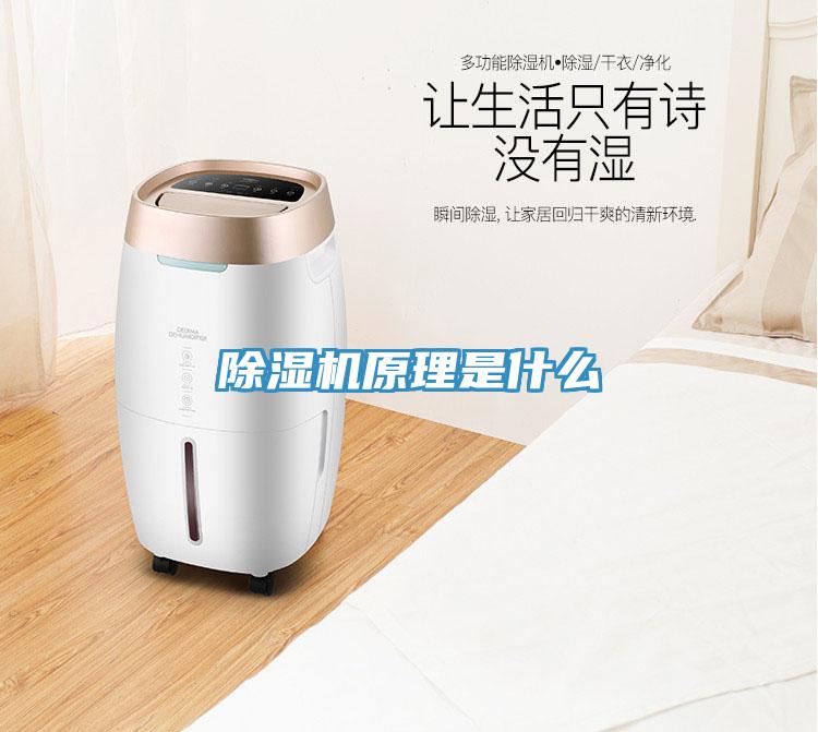 除濕機原理是什么