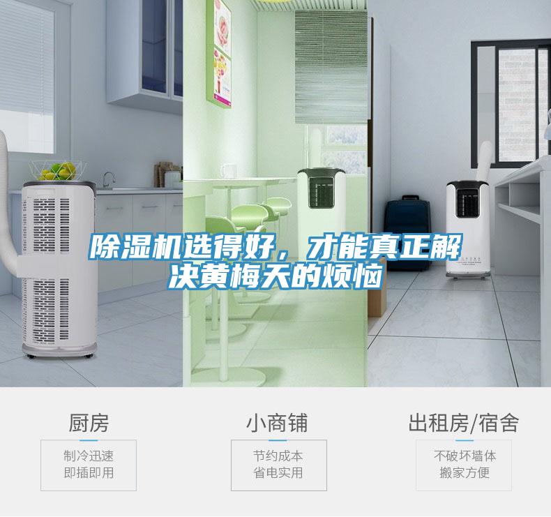 除濕機選得好，才能真正解決黃梅天的煩惱