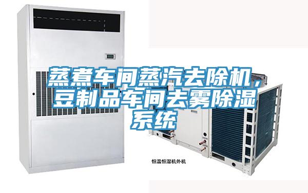 蒸煮車間蒸汽去除機,豆制品車間去霧除濕系統