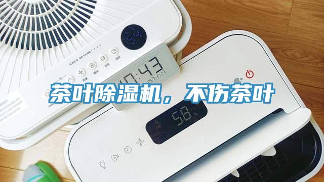 茶葉除濕機，不傷茶葉